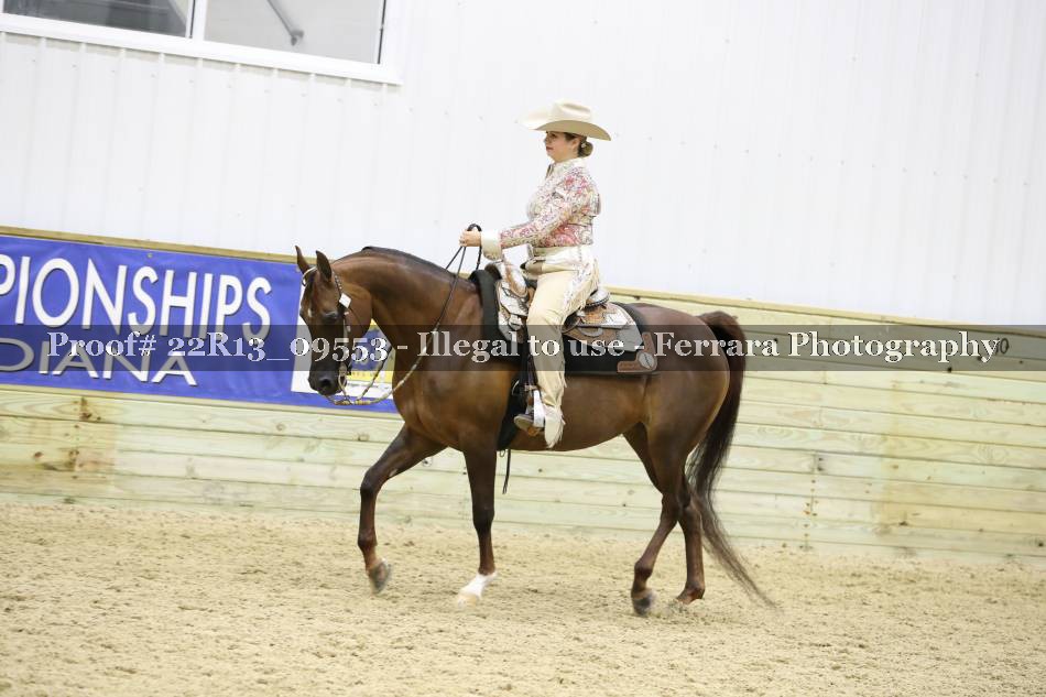 Proof 22R13_09553
