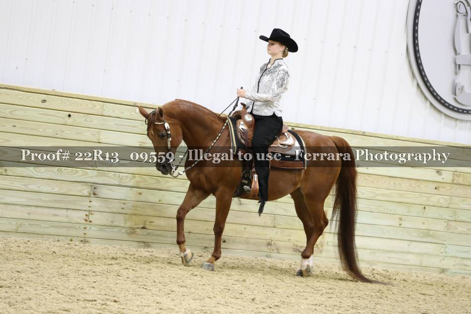 Proof 22R13_09559