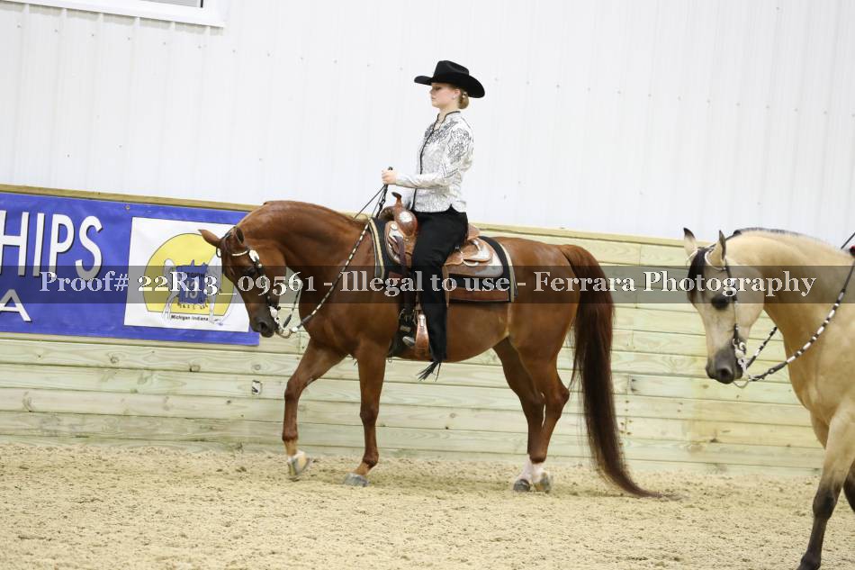 Proof 22R13_09561