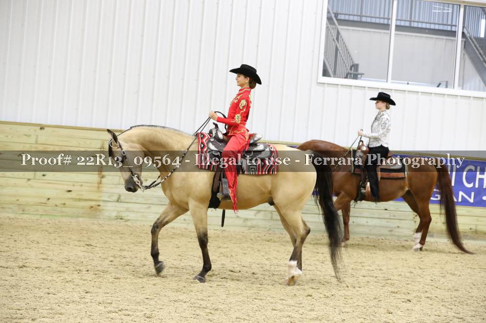 Proof 22R13_09564