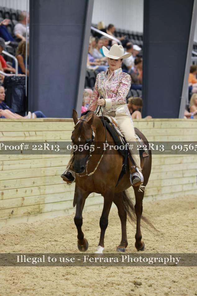 Proof 22R13_09565