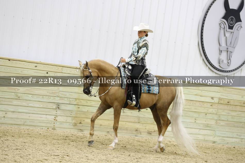 Proof 22R13_09566