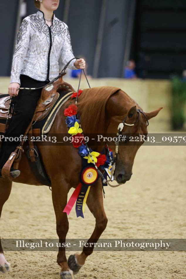 Proof 22R13_09579