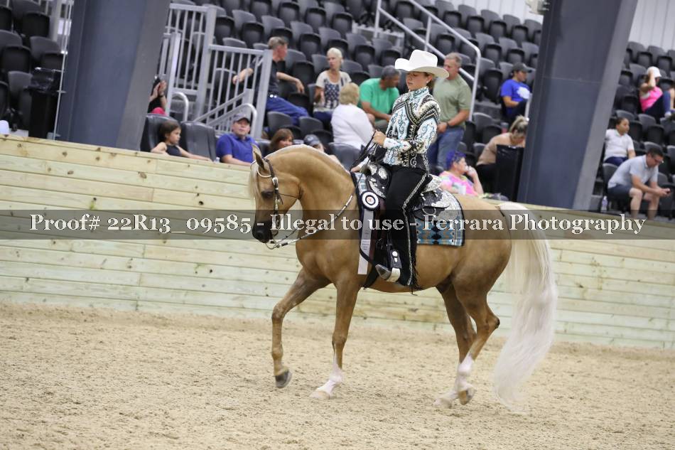 Proof 22R13_09585