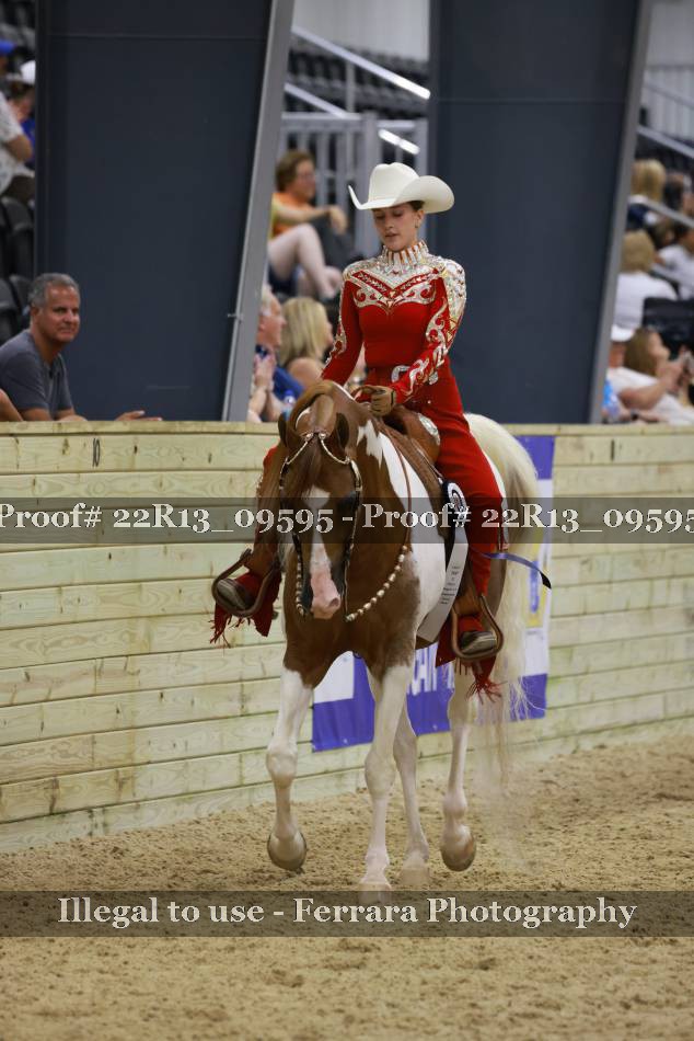 Proof 22R13_09595
