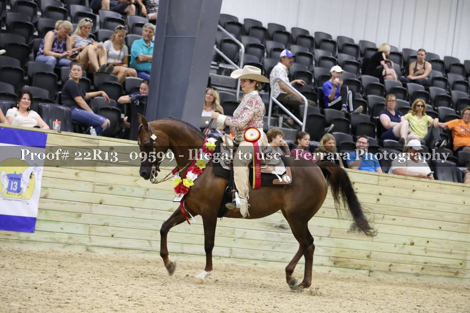 Proof 22R13_09599