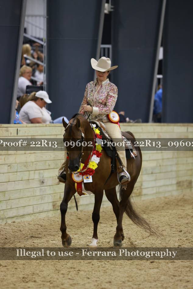 Proof 22R13_09602