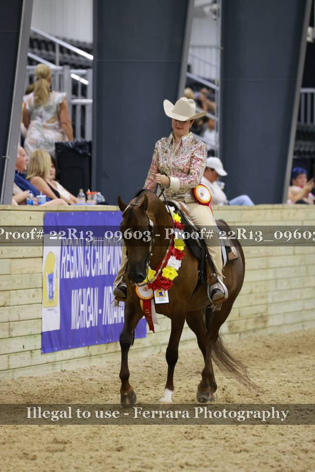 Proof 22R13_09603
