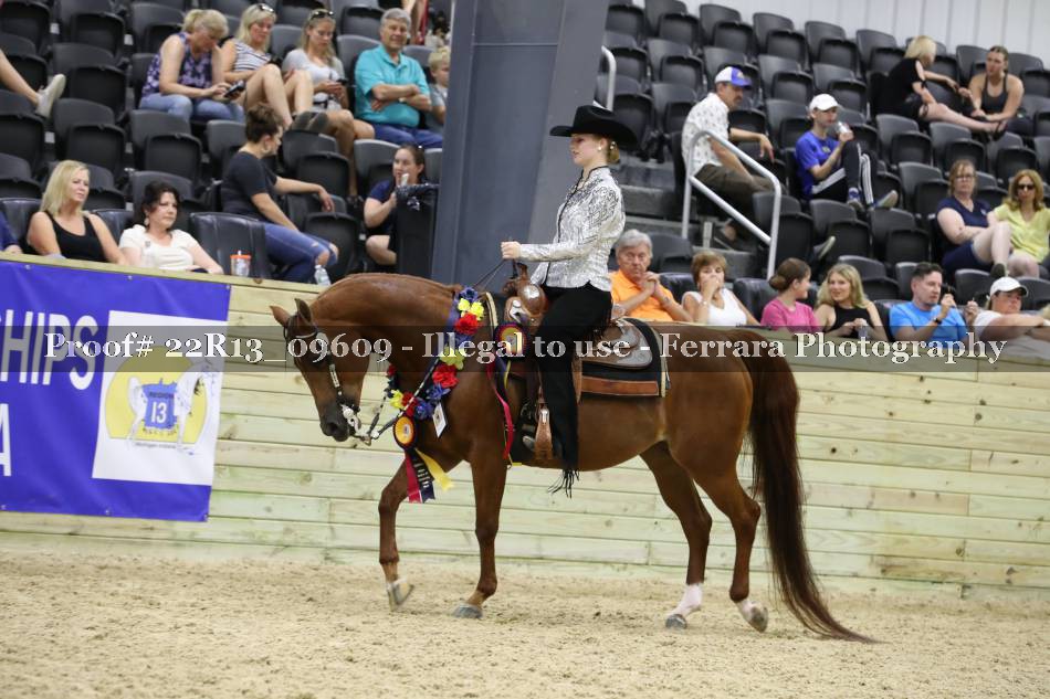 Proof 22R13_09609