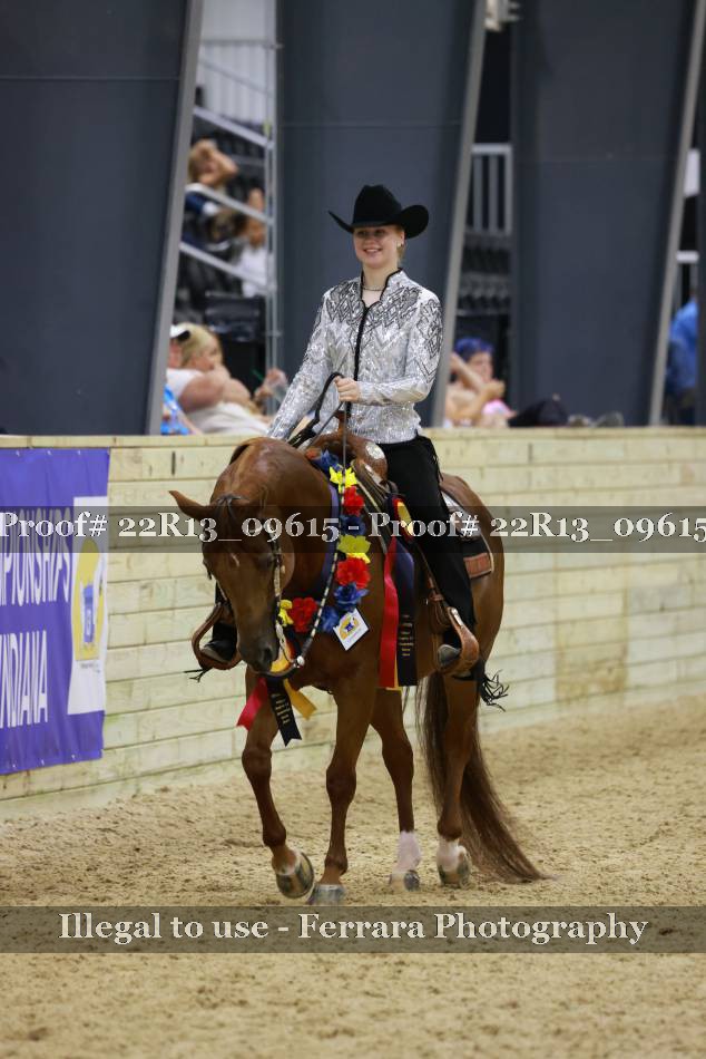Proof 22R13_09615