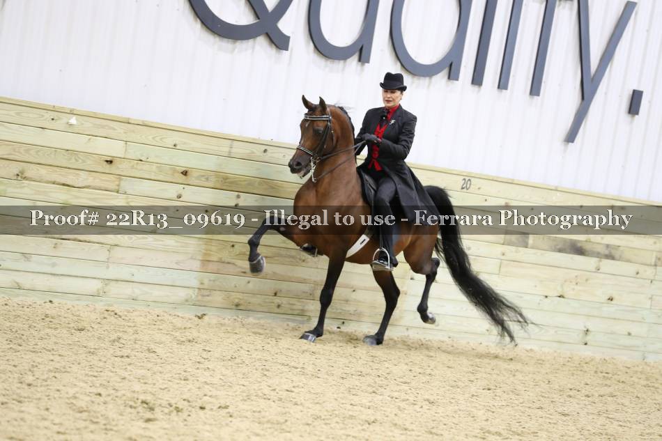Proof 22R13_09619