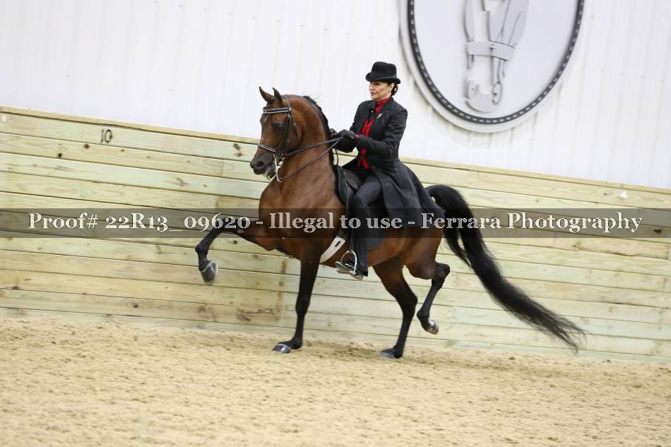 Proof 22R13_09620