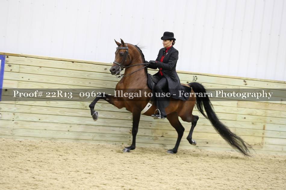 Proof 22R13_09621