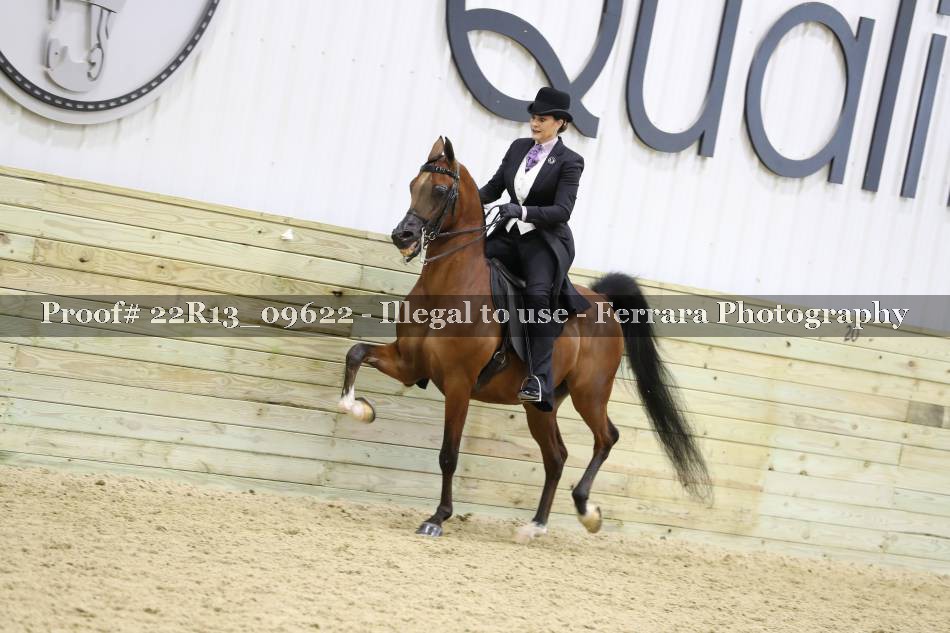 Proof 22R13_09622