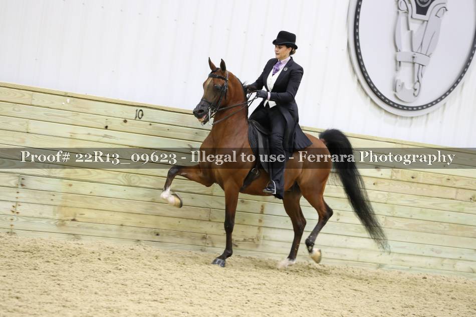 Proof 22R13_09623