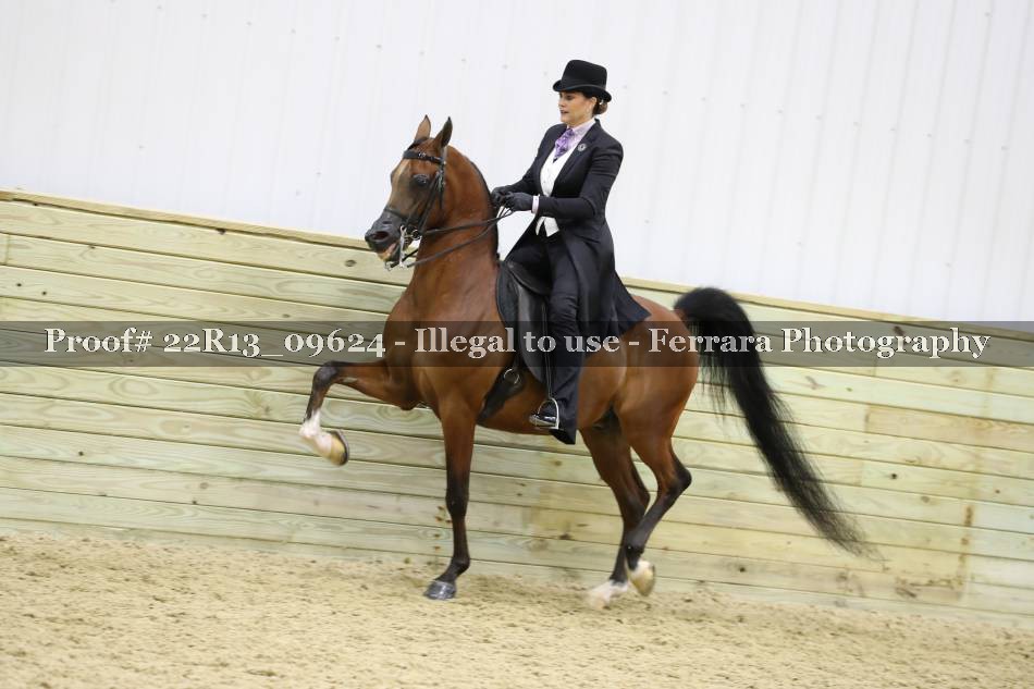 Proof 22R13_09624
