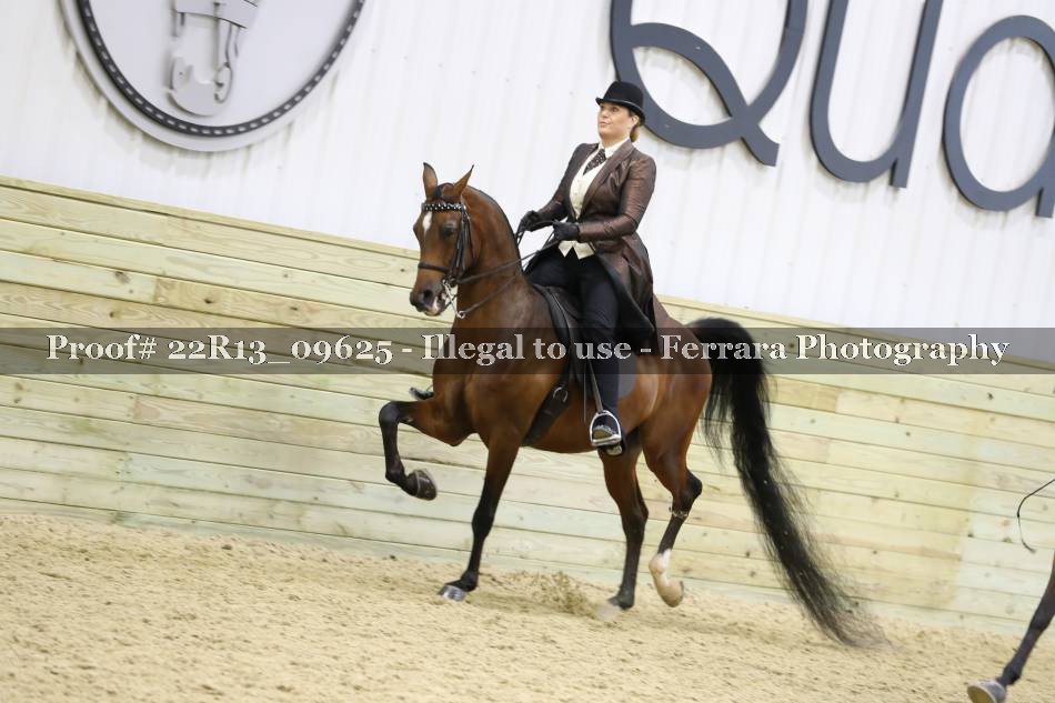 Proof 22R13_09625