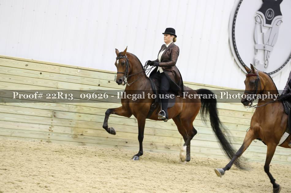 Proof 22R13_09626