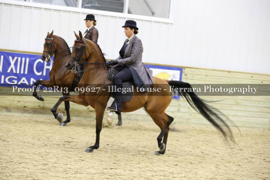 Proof 22R13_09627