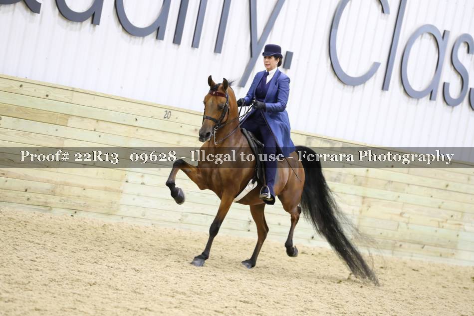 Proof 22R13_09628