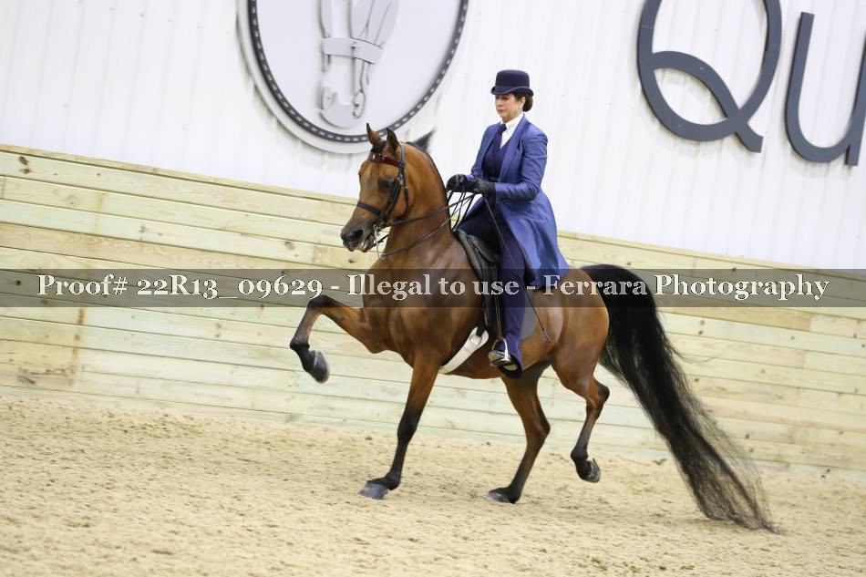 Proof 22R13_09629