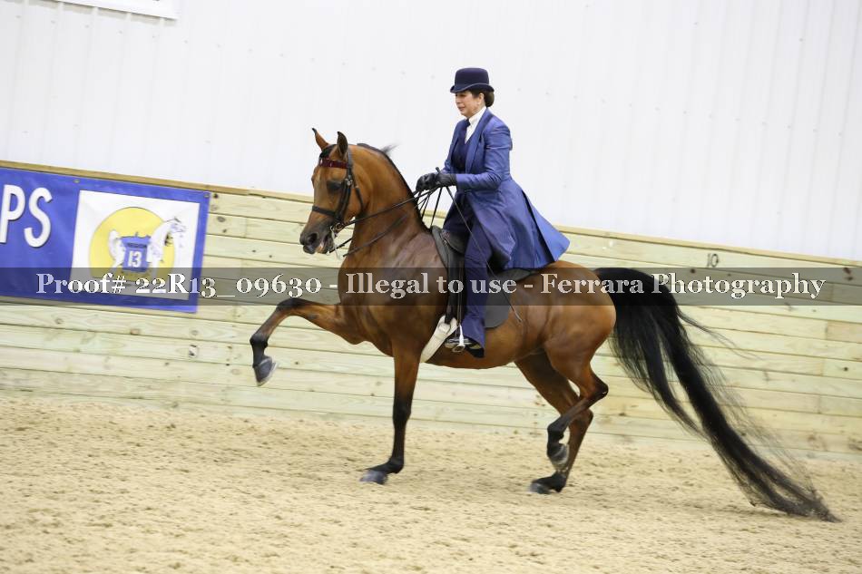 Proof 22R13_09630
