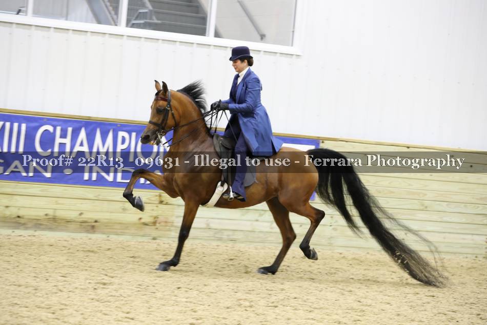 Proof 22R13_09631