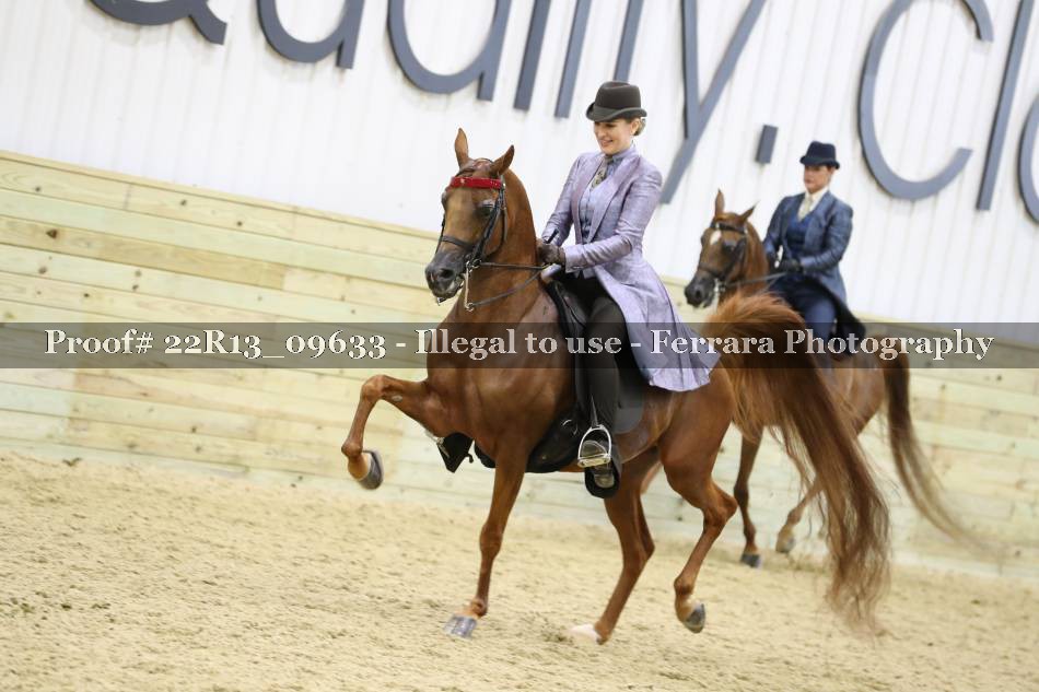 Proof 22R13_09633