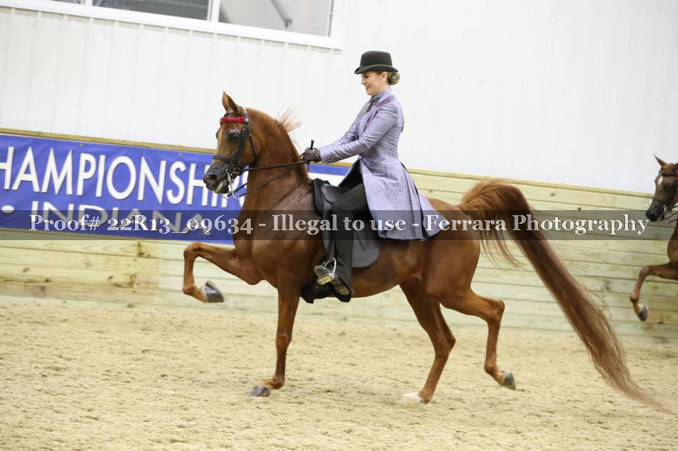 Proof 22R13_09634