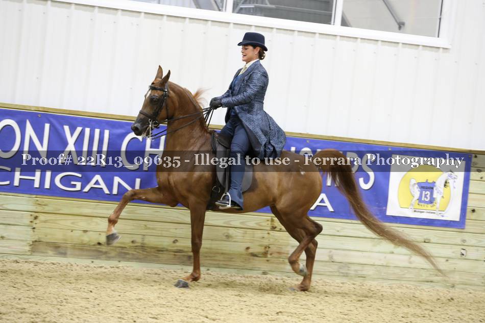Proof 22R13_09635