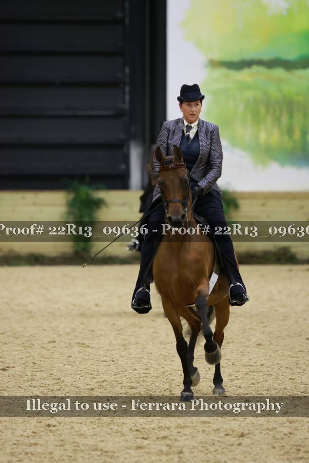 Proof 22R13_09636