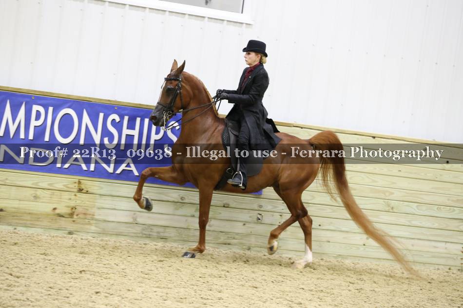 Proof 22R13_09638