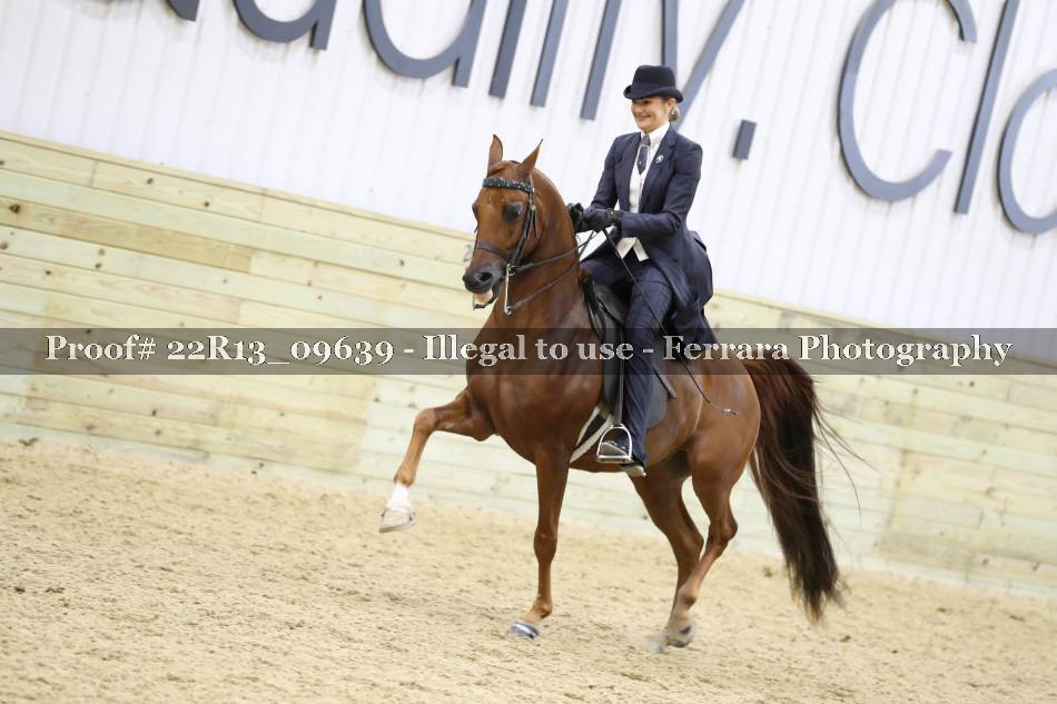 Proof 22R13_09639