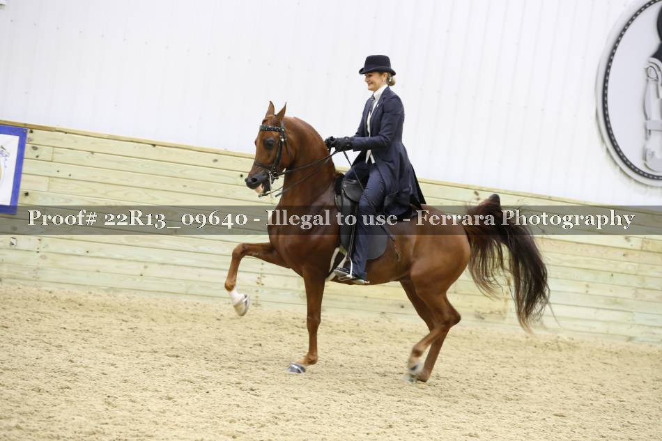 Proof 22R13_09640