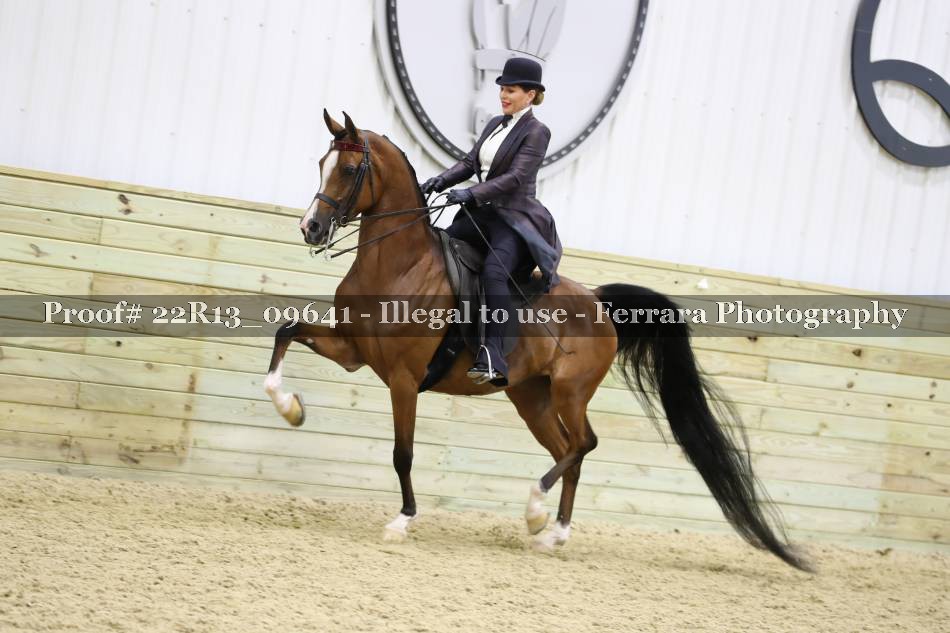Proof 22R13_09641