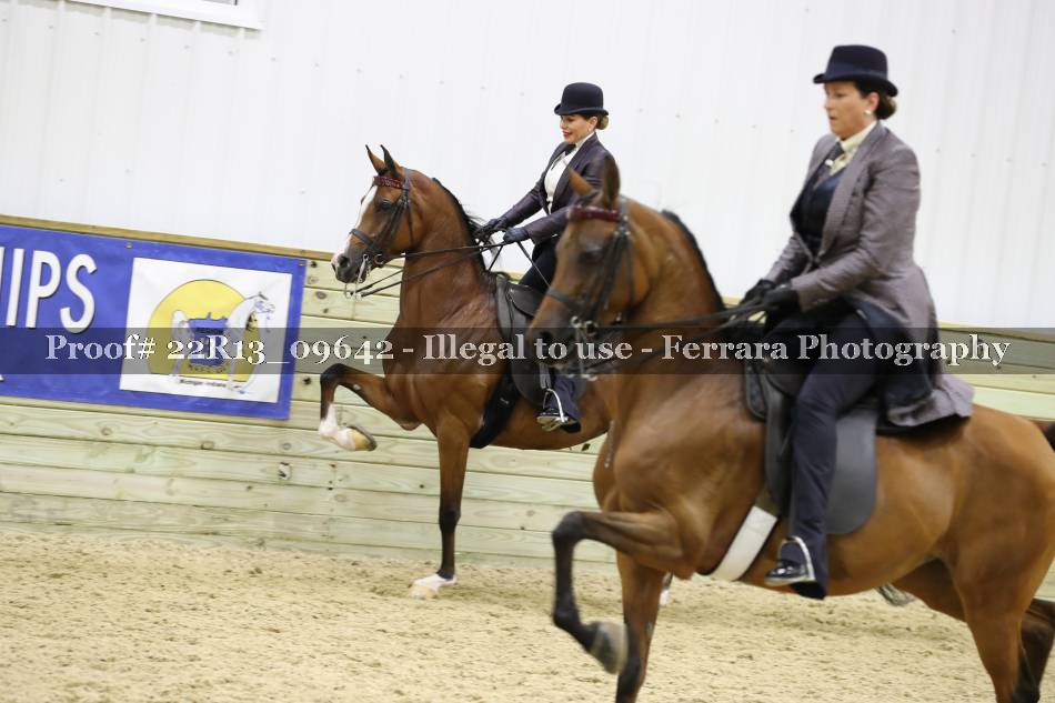 Proof 22R13_09642