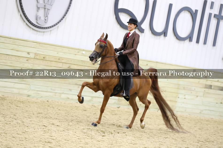Proof 22R13_09643