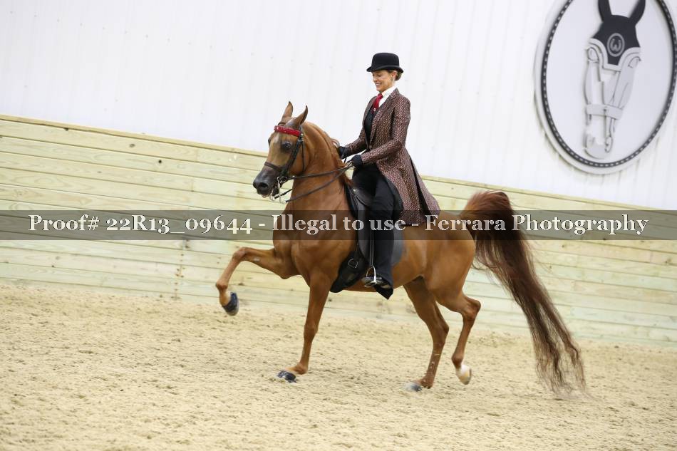 Proof 22R13_09644