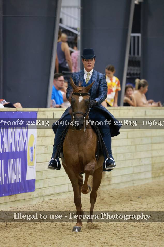 Proof 22R13_09645