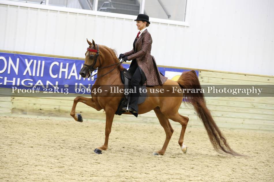 Proof 22R13_09646