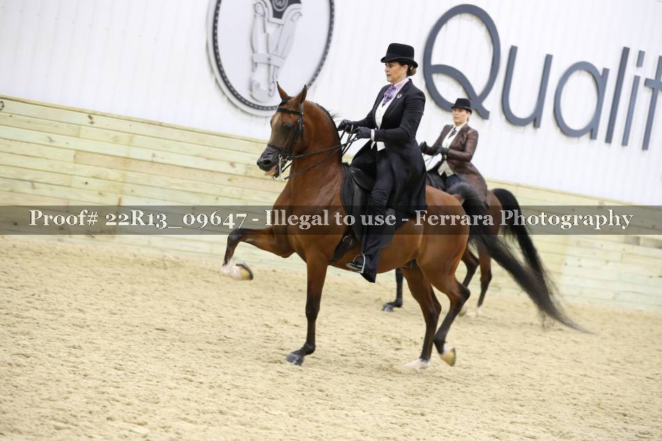 Proof 22R13_09647