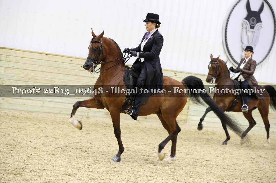 Proof 22R13_09648