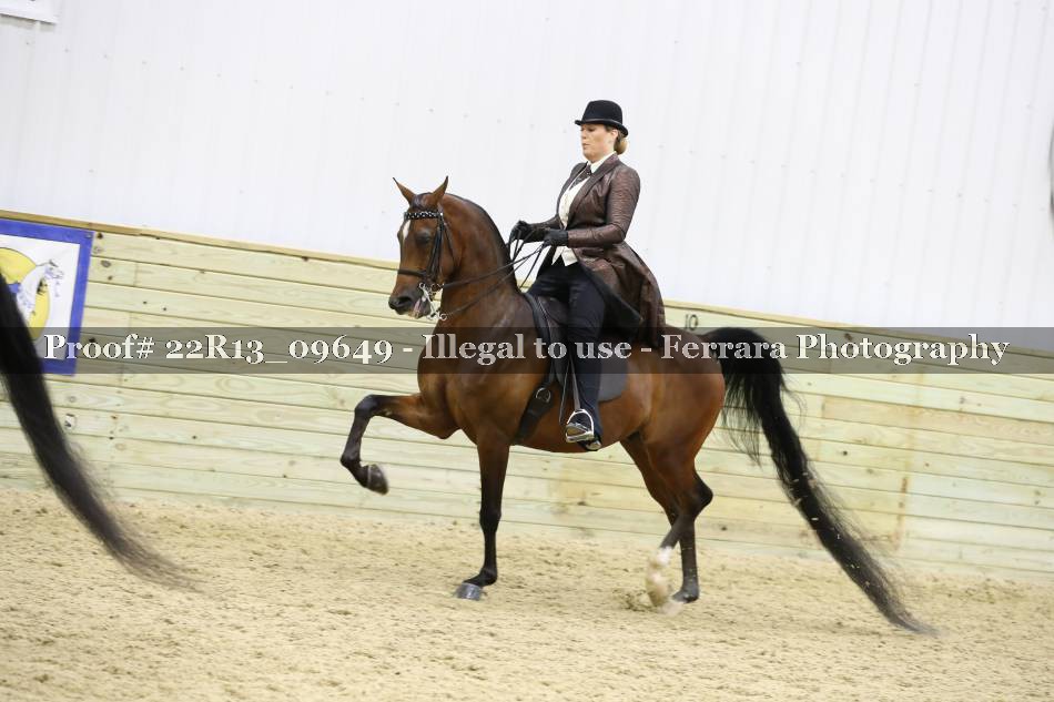 Proof 22R13_09649