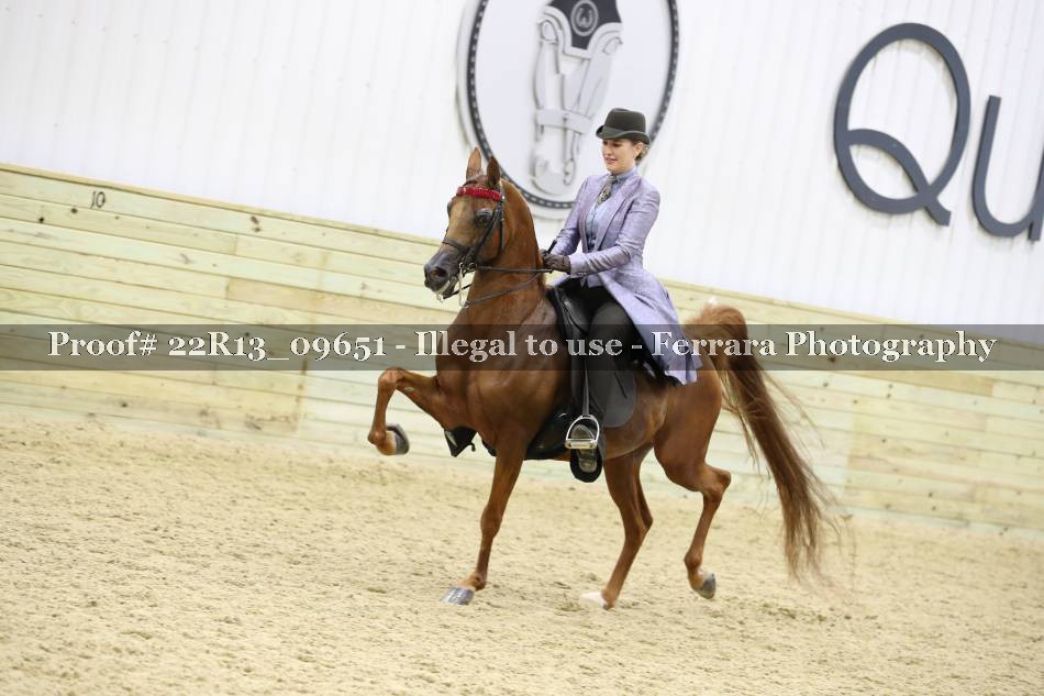 Proof 22R13_09651