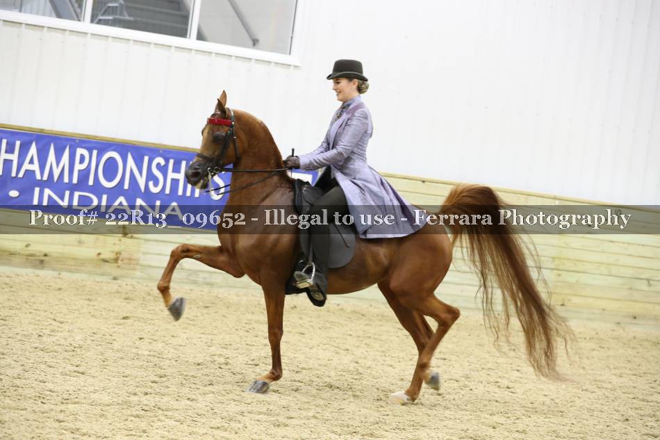 Proof 22R13_09652