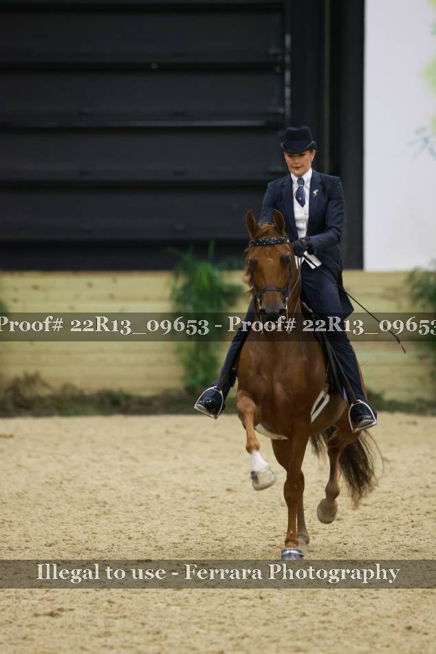 Proof 22R13_09653