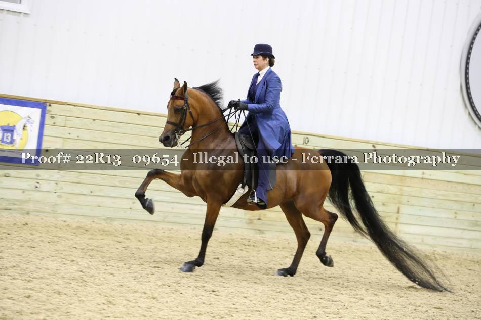 Proof 22R13_09654