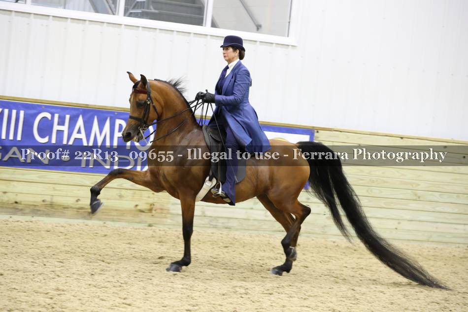 Proof 22R13_09655