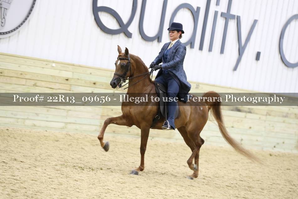 Proof 22R13_09656