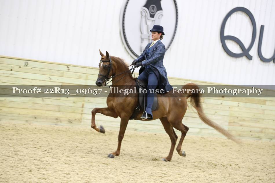 Proof 22R13_09657
